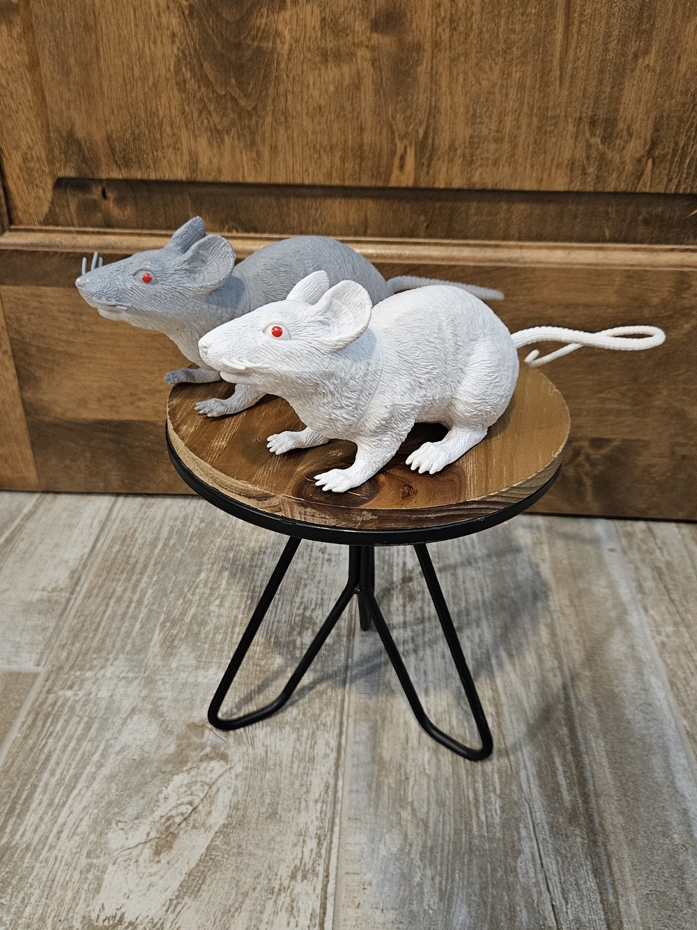 Decorative White and Gray Rats
